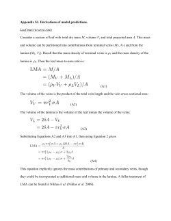 Appendix A