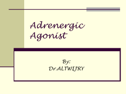 13.adrenergic notes