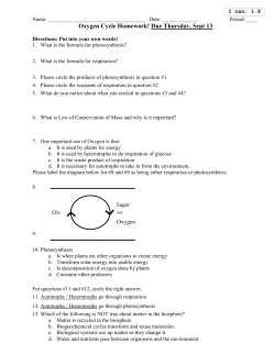 Oxygen Cycle Homework! - Mr. Jelinek Biology Class