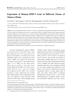 Expression of Human BMP-2 Gene in Different Tissues of Tobacco