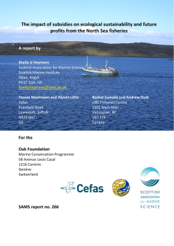 Subsidies in the North Sea