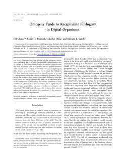 Ontogeny Tends to Recapitulate Phylogeny in Digital Organisms