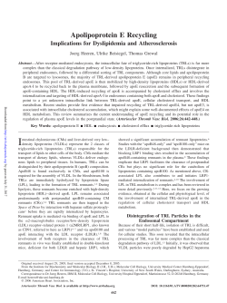 Apolipoprotein E Recycling - Arteriosclerosis, Thrombosis, and