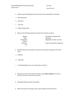EB 9.2 - biology4friends