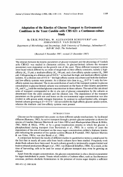 Adaptation of the Kinetics of Glucose Transport to