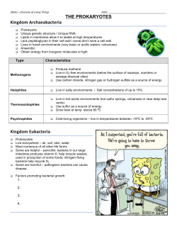 Bacteria handout