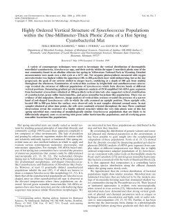 Highly Ordered Vertical Structure of Synechococcus Populations