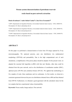 Porous system characterization of petroleum reservoir rocks based