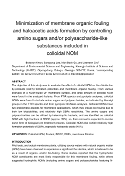 Minimization of membrane organic fouling and haloacetic acids