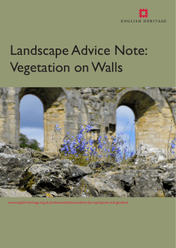 Landscape Advice Note: Vegetation on Walls