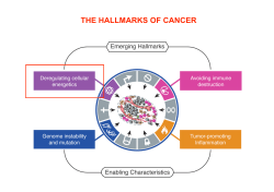 Lez 11 (Cancer metabolism) - e