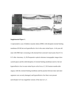 Supplemental Figure 1. A representative case of diabetic macular