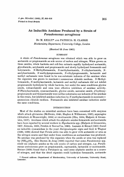 An Inducible Arnidase Produced by a Strain of