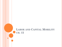 Chapter 7 International Factor Movements