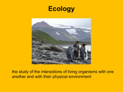 Ecology Unit