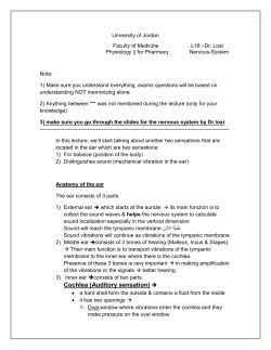 Cochlea (Auditory sensation)