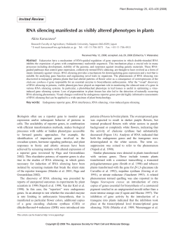 RNA silencing manifested as visibly altered phenotypes in plants