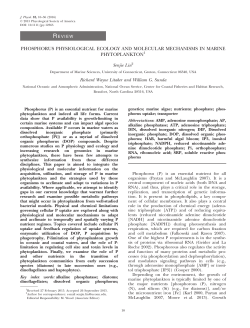 Phosphorus physiological ecology and molecular mechanisms in