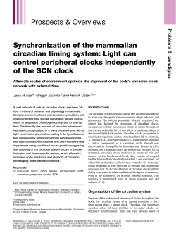 Synchronization of the mammalian circadian timing system: Light
