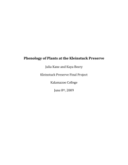Phenology of Plants at the Kleinstuck Preserve