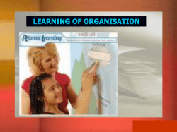 Organizational Behavior _ Chapter 1