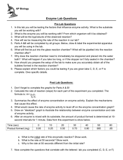 Enzyme Lab Questions