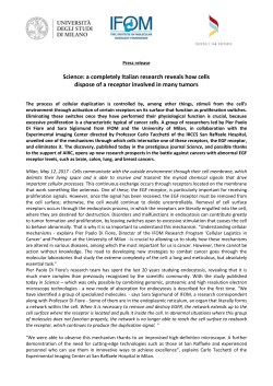 Science: a completely Italian research reveals how cells