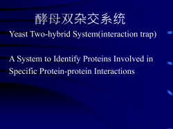 第三章DNA物理图谱的制备