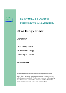 Primer for China™s Energy Industry