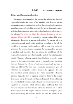 EnzymesMechanism of Action