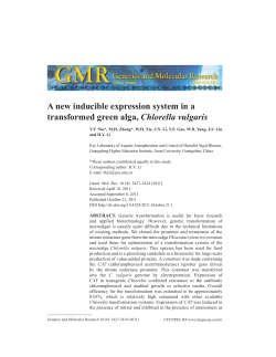 A new inducible expression system in a transformed green alga