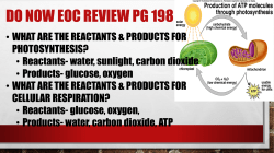 Biology EOC Review