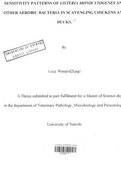 Sensitivity patterns of listeria monocytogenes and other Aerobic