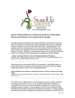 Low-light requiring houseplants, along with activated carbon plant