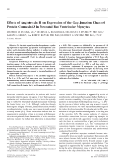 Effects of angiotensin II on expression of the gap junction channel