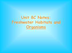 Unit 8B Notes: Freshwater Habitats and Organisms