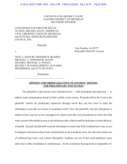 Opinion and Order Granting Plaintiffs` Motion for