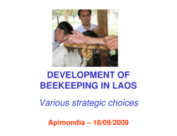 DEVELOPMENT OF BEEKEEPING IN LAOS Various strategic choices