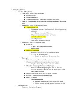 Unit II Review