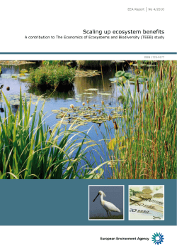 Scaling up ecosystem benefits