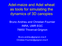 Scheme of development