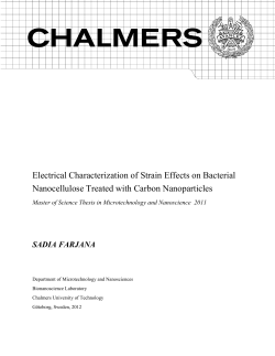 Electrical Characterization of Strain Effects on Bacterial