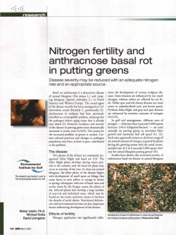 Nitrogen fertility and anthracnose basal rot in putting greens