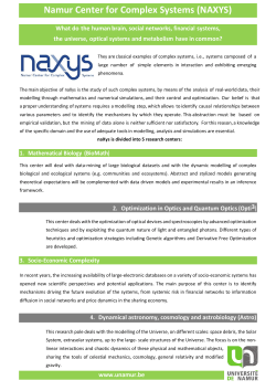 Namur Center for Complex Systems (NAXYS)