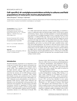 Cellspecific Nacetylglucosaminidase activity in cultures and field