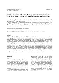 Caffeine production in tobacco plants by simultaneous