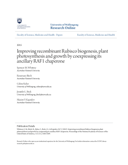Improving recombinant Rubisco biogenesis, plant photosynthesis