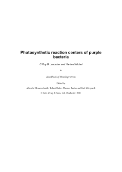 Photosynthetic reaction centers of purple bacteria
