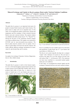 863 Mineral Exchange and Uptake in Bactris gasipaes Roots under