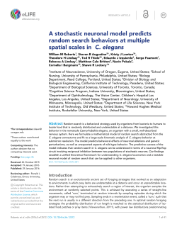 A stochastic neuronal model predicts random search behaviors at